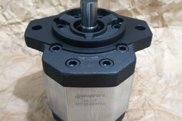 Caproni齒輪泵有哪些常見(jiàn)類(lèi)型？如何選擇適合的Caproni齒輪泵