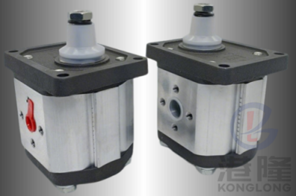 CAPRONI齒輪泵00/10/20/30系列規(guī)格、參數(shù)