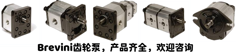 布雷維尼齒輪泵